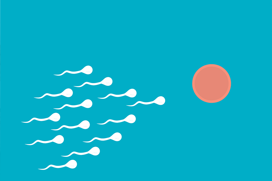 Advanced Male Fertility Testing
