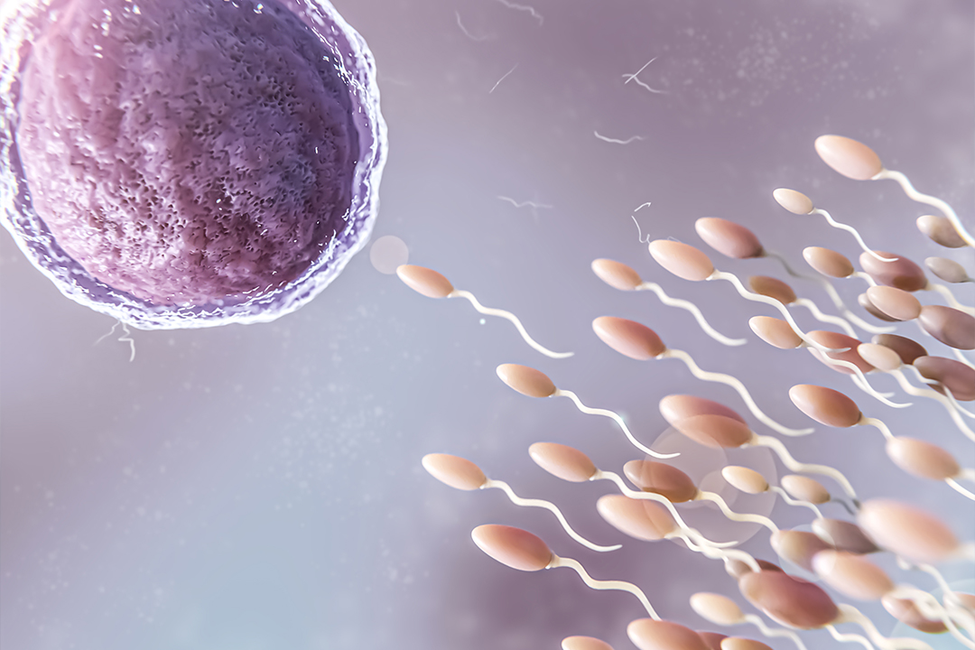 Reproductive Endocrinology Reproductive Endocrinology