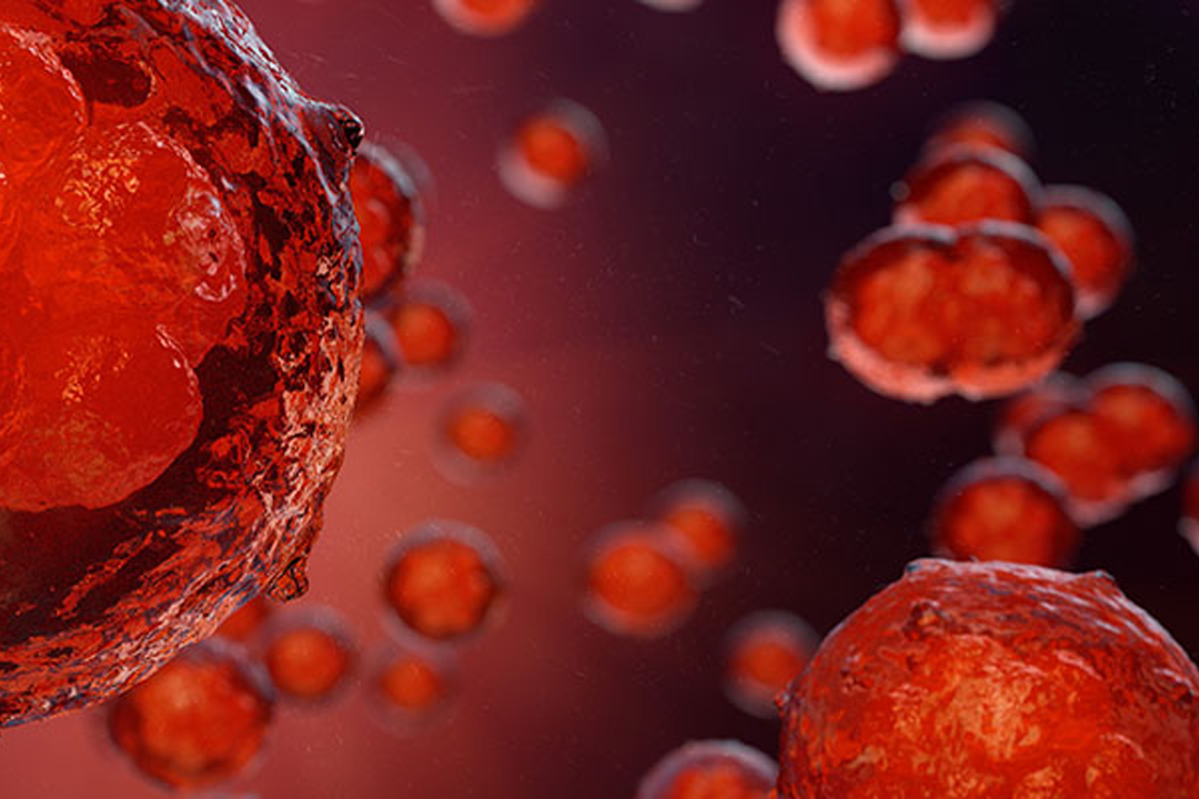 Reproductive Immunology